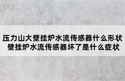 压力山大壁挂炉水流传感器什么形状 壁挂炉水流传感器坏了是什么症状